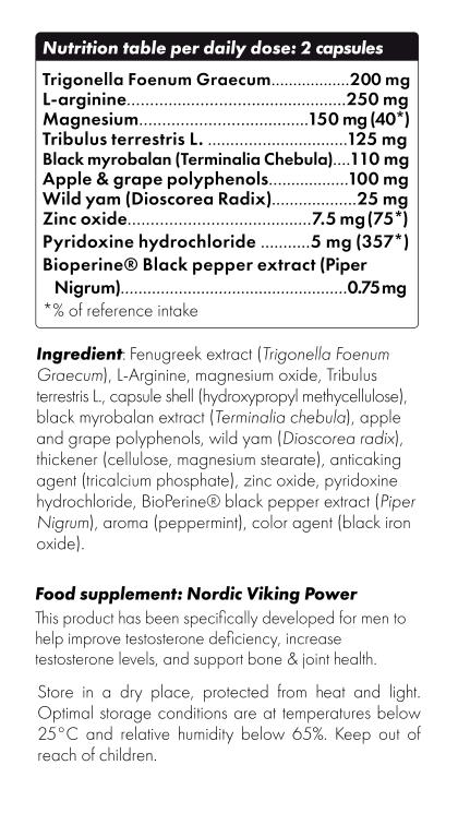 Nordic Viking Power