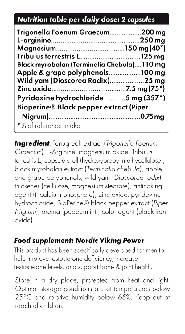 Nordic Viking Power