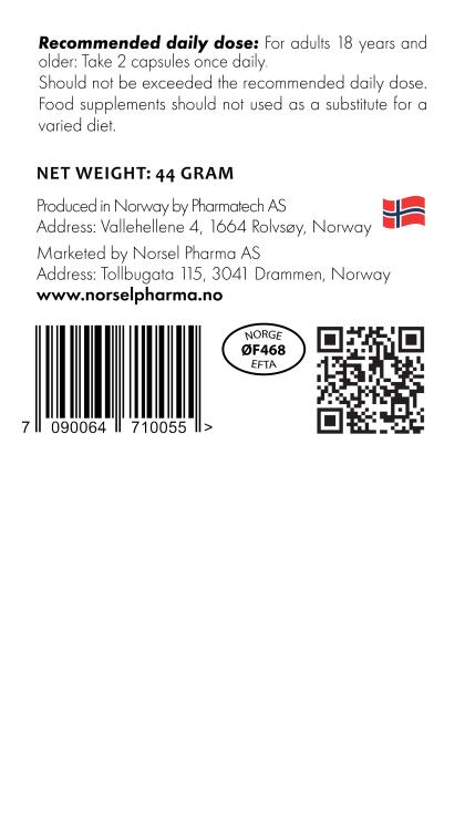 Nordic Viking Power